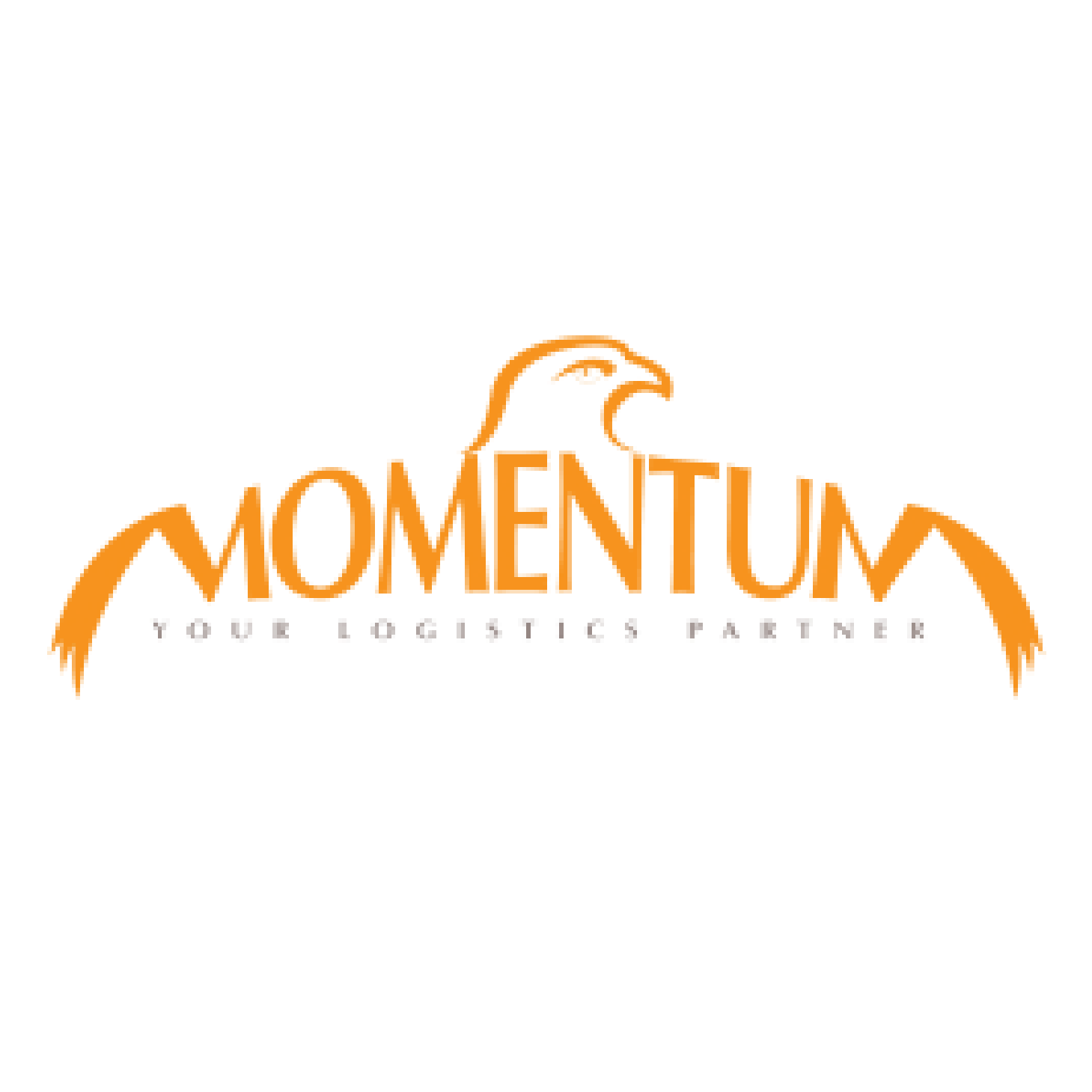 Momentum Logistics